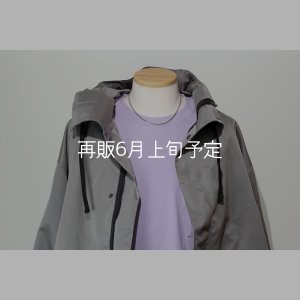 画像1: 45cm (CL100/4C) 