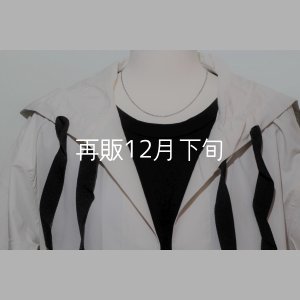 画像1: 40cm (CL60/4C) 