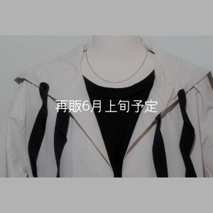 画像1: 40cm (CL60/4C) 