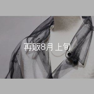 画像4: 45cm (CL60/4C) 
