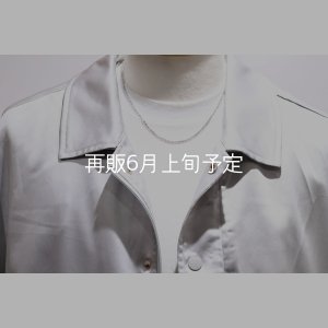 画像1: 45cm (CL60/4C) 