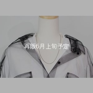 画像1: 50cm (CL60/4C) 