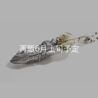  千年フェザー (LL2_K18YGハートフェザー) ペンダント『チェーン50cm』 