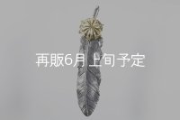千年フェザー(L1)  K18YG-SUNコンチョ 