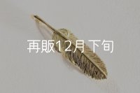 千年フェザー(MM2)  K18YG 