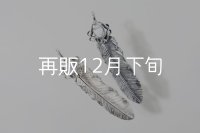 千年フェザー(L1)  マグネサイト 