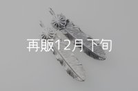 千年フェザー(L1)  SUNコンチョ 