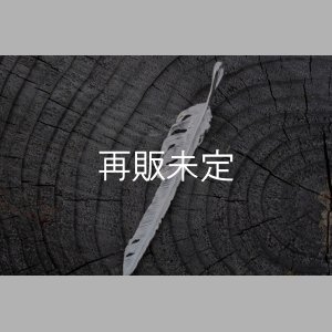 画像5: 風切羽(L) 