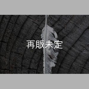 画像3: 風切羽(L) 