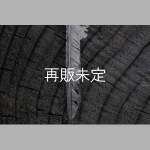 画像4: 風切羽(L) 