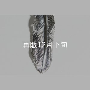 画像5: 千年フェザー(LL2)  ハートフェザー 