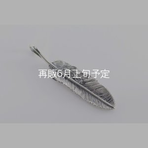 画像5: 千年フェザー(M2) 