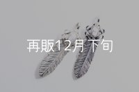 千年フェザー(MM2)  マグネサイト 