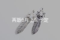 千年フェザー(MM2)  マグネサイト 