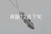 千年フェザー(L1)ペンダント 『チェーン50cm』 