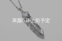  千年フェザー (LL1ハートフェザー) ペンダント『チェーン50cm』 