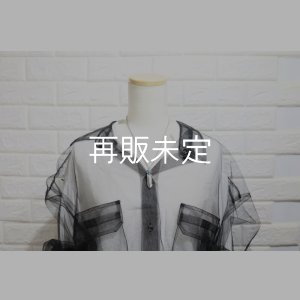 画像7: 千年フェザー(M1)  スリーピングビューティー  ターコイズペンダント