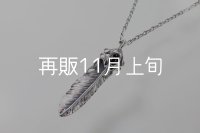 千年フェザー(M2オニキス) ペンダント 『チェーン45cm』