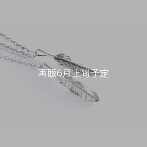 画像2: 千年フェザー(MM1)ペンダント 『チェーン45cm』 
