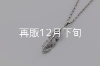 千年フェザー(MM1)ペンダント 『チェーン45cm』 