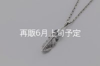 千年フェザー(MM1)ペンダント 『チェーン45cm』 