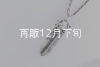 千年フェザー(MM2)  マグネサイトペンダント 『チェーン45cm』 