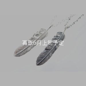 画像4: 千年フェザー(XL2)ペンダント 『チェーン50cm』 