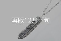 千年フェザー(XL2)ペンダント 『チェーン50cm』 