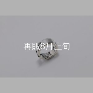 画像3: キヘイリング  ■雑誌掲載 