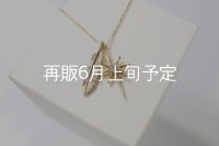 SUNジュエル × フェザーネックレス ｜K10YG × ダイヤモンド｜ 