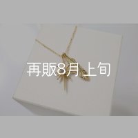 SUNジュエル × フェザーネックレス ｜K18YG × ダイヤモンド｜ 