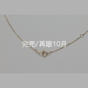 画像5: マイクロフェザーネックレス ｜K10YG｜ 