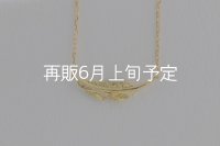 ミニマムフェザーネックレス ｜K18YG｜ 