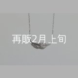 ミニマムフェザーネックレス ｜Pt900｜ 
