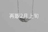 ミニマムフェザーネックレス ｜Pt900｜ 