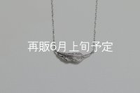 ミニマムフェザーネックレス ｜Pt900｜ 