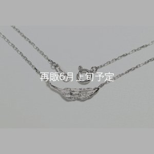画像5: ミニマムフェザーネックレス ｜Pt900｜ 