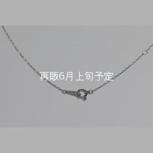 画像6: ミニマムフェザーネックレス ｜Pt900｜ 