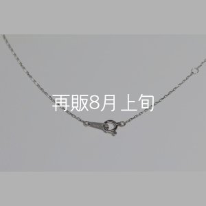画像6: ミニマムフェザーネックレス ｜Pt900｜ 