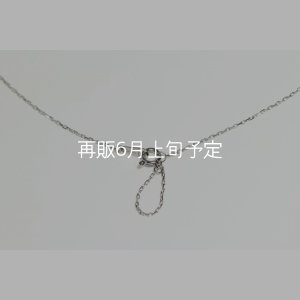 画像7: ミニマムフェザーネックレス ｜Pt900｜ 