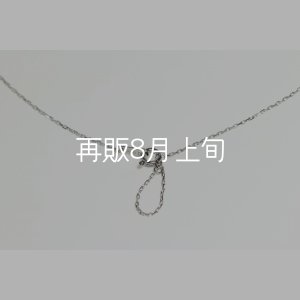 画像7: ミニマムフェザーネックレス ｜Pt900｜ 