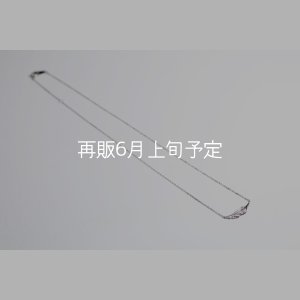 画像8: ミニマムフェザーネックレス ｜Pt900｜ 