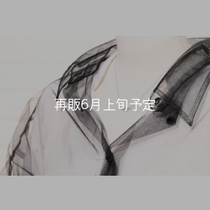 画像9: ミニマムフェザーネックレス ｜Pt900｜ 