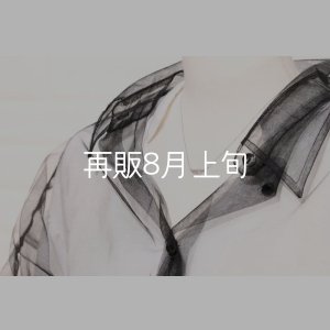 画像9: ミニマムフェザーネックレス ｜Pt900｜ 