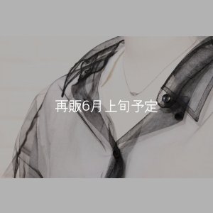 画像10: ミニマムフェザーネックレス ｜Pt900｜ 