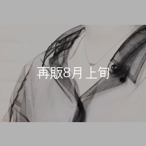 画像10: ミニマムフェザーネックレス ｜Pt900｜ 