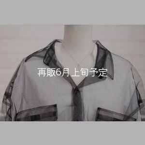 画像9: Wフェザーネックレス(マイクロ) ｜K10YG｜ 