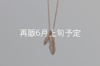 Wフェザーネックレス(マイクロ) ｜K10PG｜ 