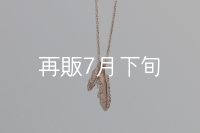 Wフェザーネックレス(マイクロ) ｜K10PG｜ 