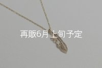 マイクロフェザーネックレス ｜K10YG｜ 